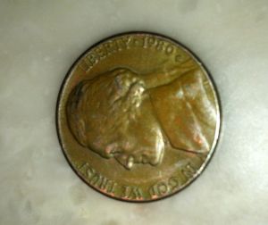 Gold-Plated-Nickel?